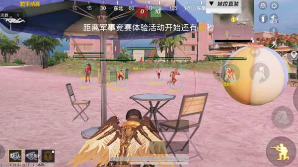 和平精英《北极熊》辅助