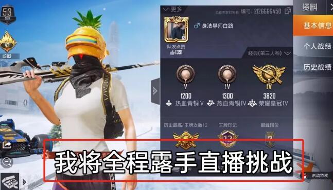 和平精英【正版ADC手搓】内核辅助